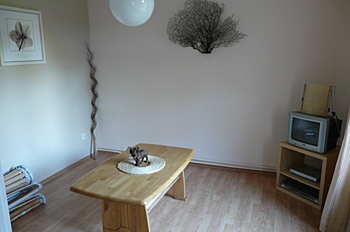 umzug_06b Wohnzimmer in der neuen Wohnung vor dem Einzug