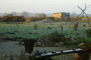 umzug_10 Mein erster Morgen! (Blick aus dem Wohnzimmerfenster)