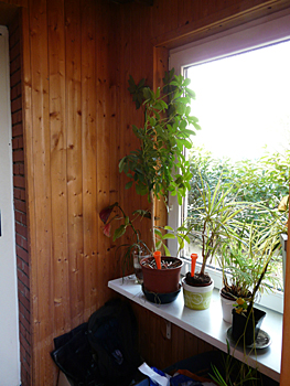 wohnung_4 Eingangsbereich